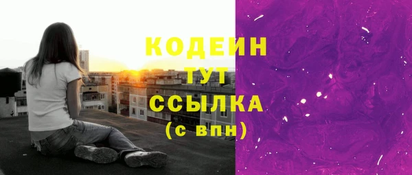 дживик Абаза