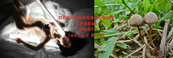 дживик Абаза