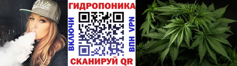 продажа наркотиков  Щёкино  Марихуана VHQ 